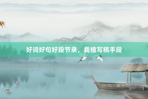 好词好句好段节录，栽植写稿手段